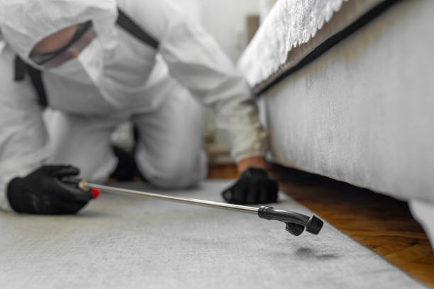 Professional Bed Bug Control technician working in West Haven, CT